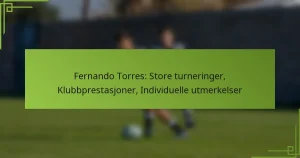 Fernando Torres: Store turneringer, Klubbprestasjoner, Individuelle utmerkelser