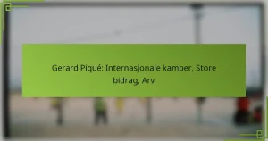 Gerard Piqué: Internasjonale kamper, Store bidrag, Arv