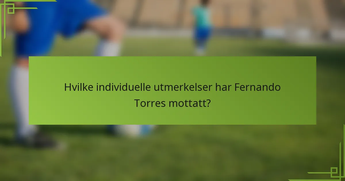 Hvilke individuelle utmerkelser har Fernando Torres mottatt?