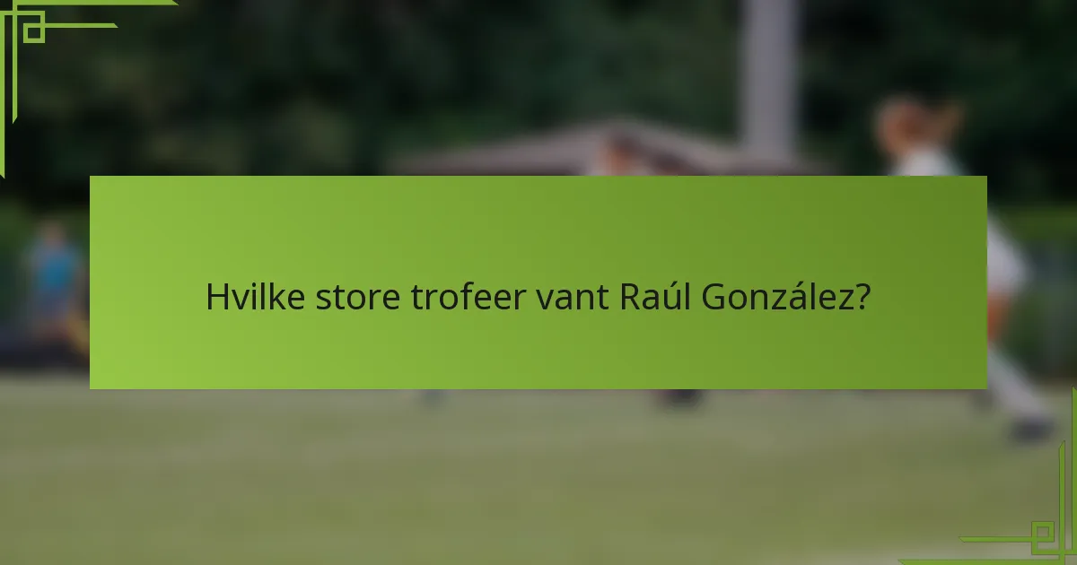 Hvilke store trofeer vant Raúl González?