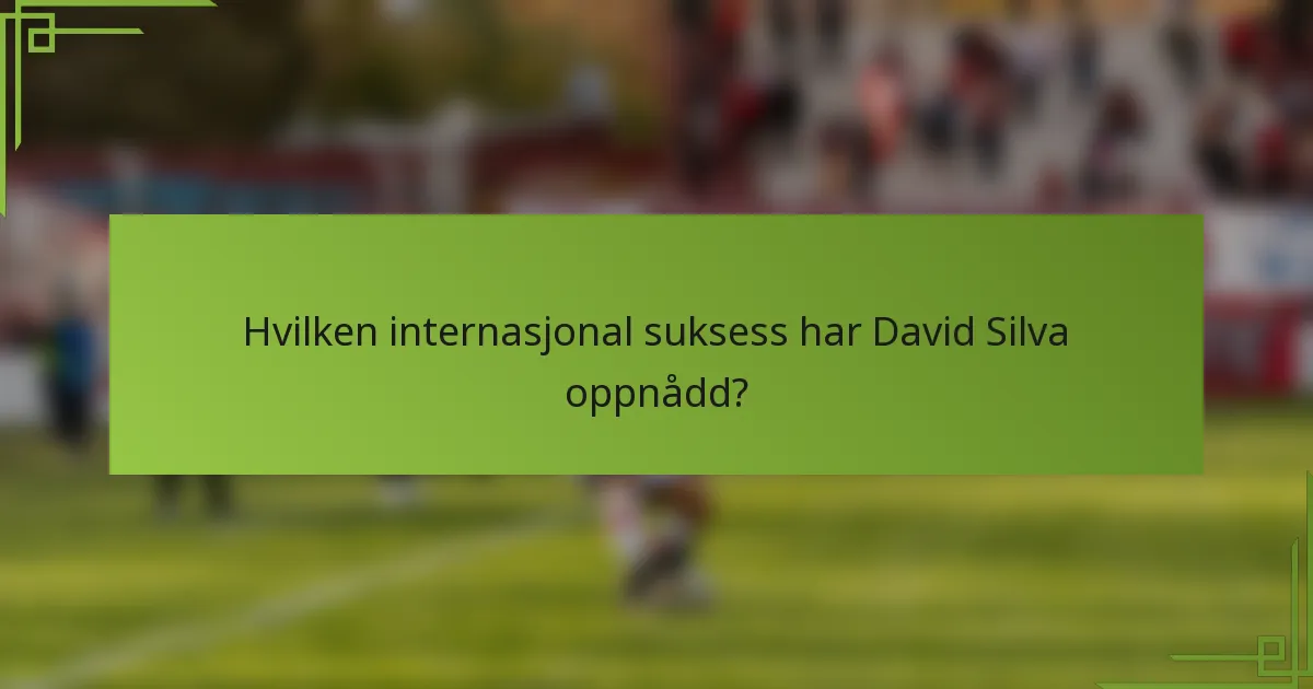 Hvilken internasjonal suksess har David Silva oppnådd?