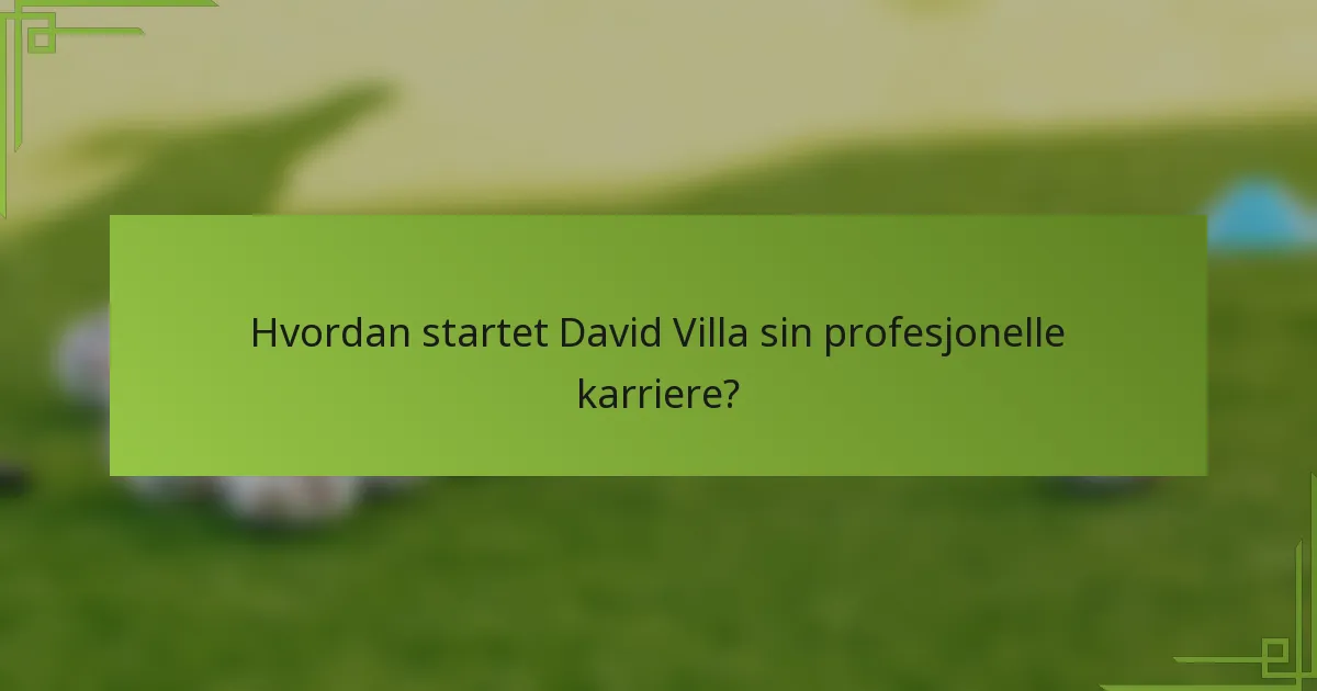 Hvordan startet David Villa sin profesjonelle karriere?